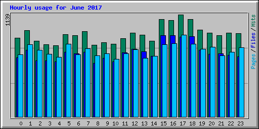 Hourly usage for June 2017
