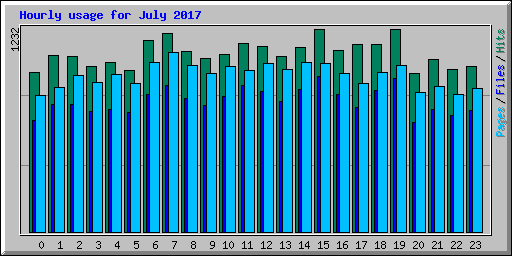 Hourly usage for July 2017