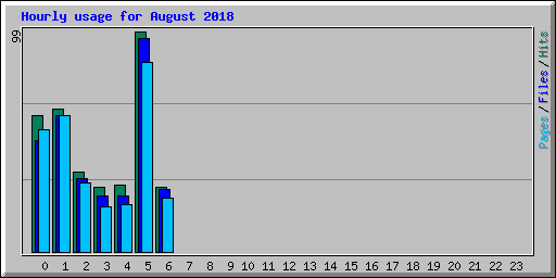 Hourly usage for August 2018
